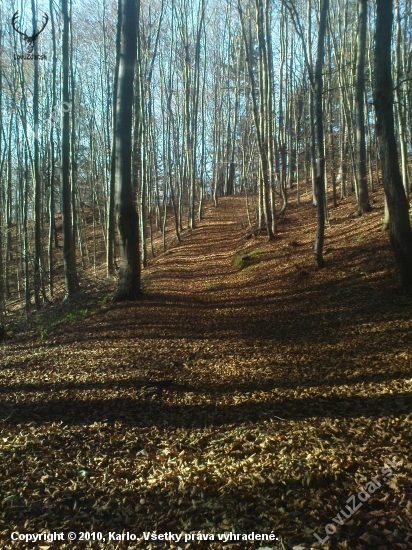 spomienka na jeseň