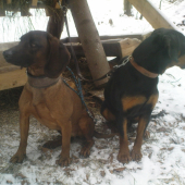 Arwen a Alan