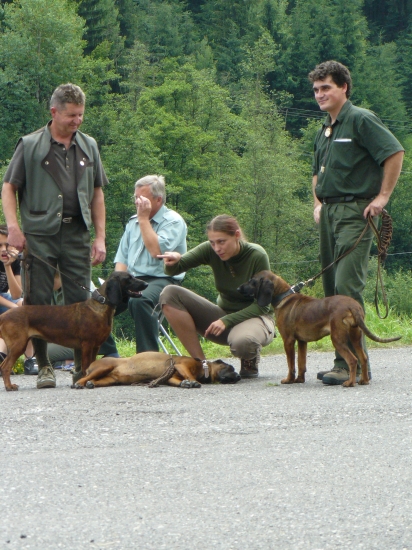 Gabčica, čo si to videla?