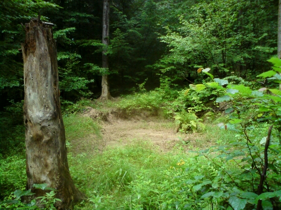 bahnisko