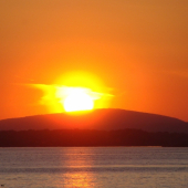 májový podvečer nad Dunajom...