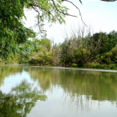 z potuliek v septembri...