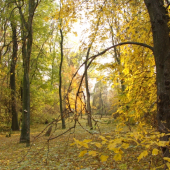 s nádychom jesene...