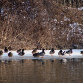 stretnutie pri vode...