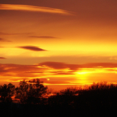 podvečerné premeny...