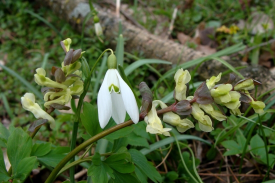 z dnešnej prechádzky...