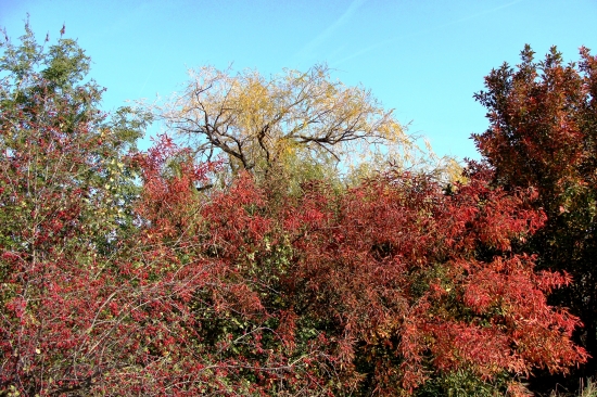 farebná príroda...