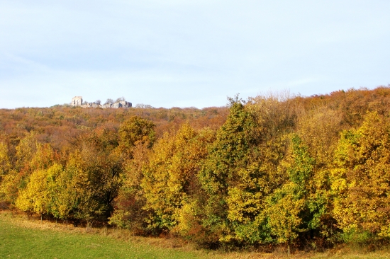 príroda pod Pajštúnom