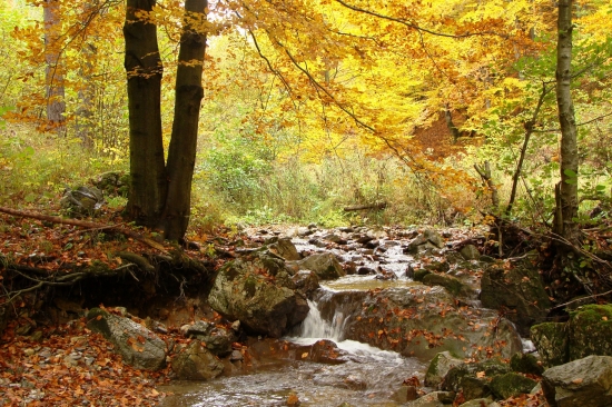 horský potôčik...