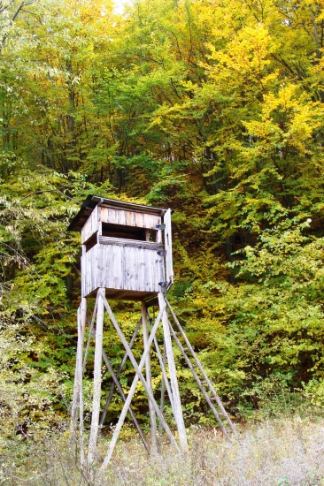 pri starom posede...