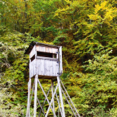 pri starom posede...