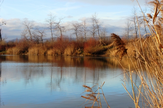 v slnečných lúčoch dneška...