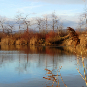 v slnečných lúčoch dneška...
