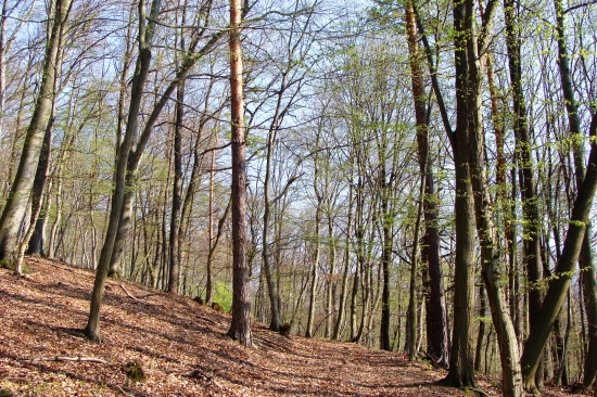 z prechádzky horou...