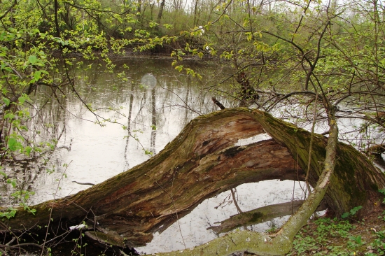 sklátený pri vode...