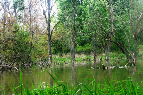 raj pre vodné vtáctvo
