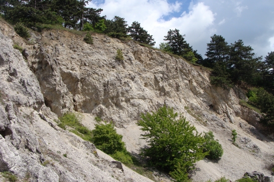 v starom kameňolome...