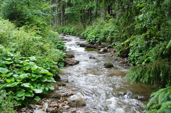 horský potôčik