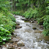 horský potôčik