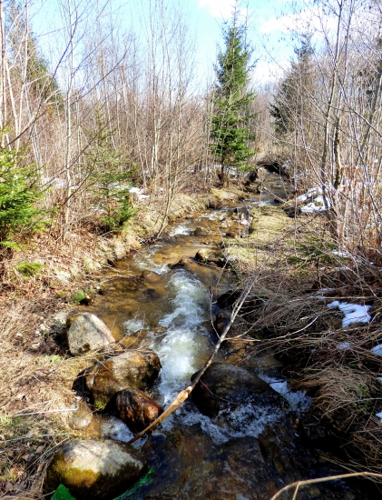 horská bystrina...