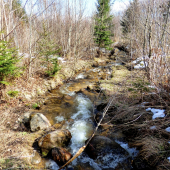 horská bystrina...