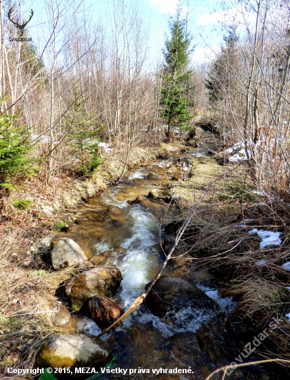 horská bystrina...