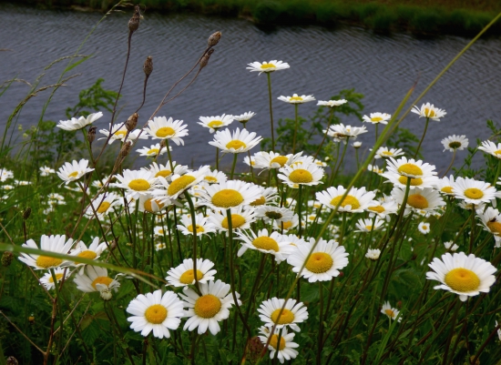 v daždivom počasí...