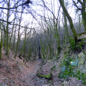 machom obrastené...