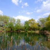 z jarnej prechádzky ...