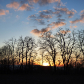 jarný podvečer....