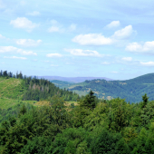 z potuliek prírodou...