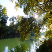 z prechádzky v novembri...