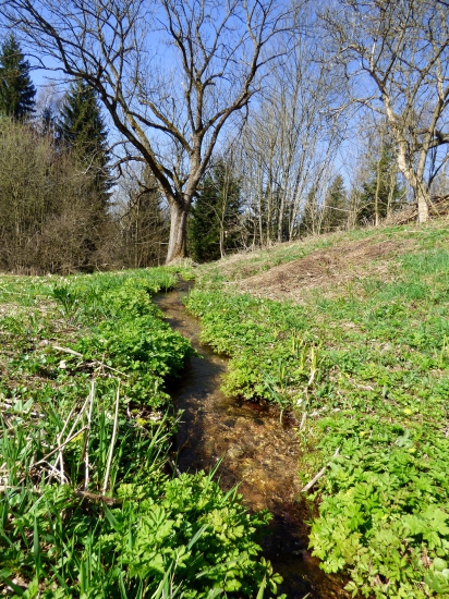 pri potôčiku...