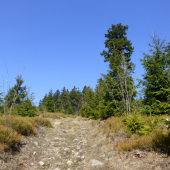 z potuliek prírodou...