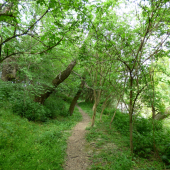 chodníčkom pri vode...