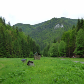 z potuliek prírodou...