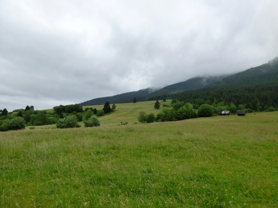 Liptov
