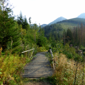 z potuliek prírodou...