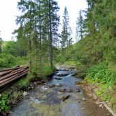 z potuliek prírodou...