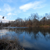 z potuliek v decembri...