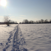 snehová nádieľka aj u nás...