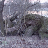 skrútený pri brehu...