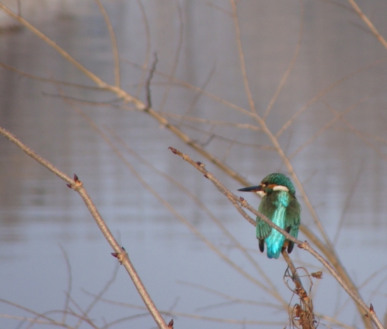 rybárik na okamih...