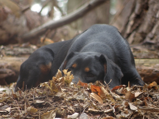 nerušiť - oddychujem