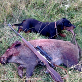 uspešná dohladavka