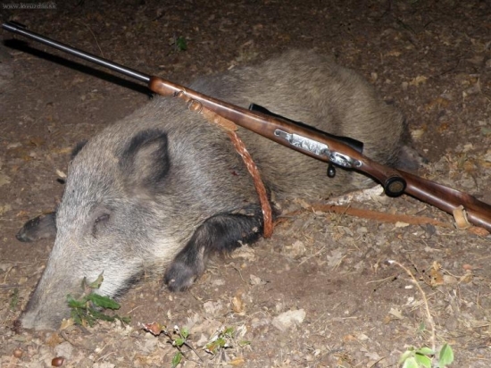 uspešná postrieška