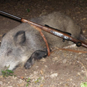 uspešná postrieška