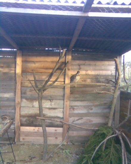 letošní přírůstek