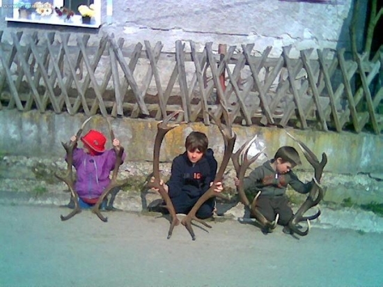 12-torák,14-torak,16-torák