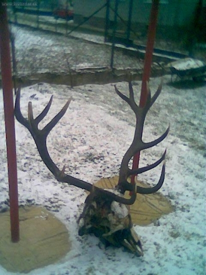 14-torák,14.1.2010,škoda ho!!